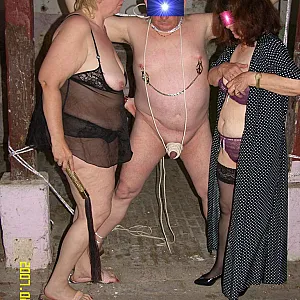 stable 10 gallery image
