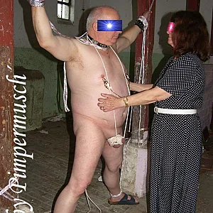 stable 10 gallery image