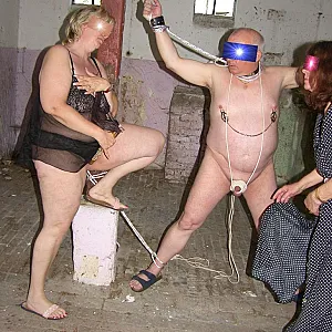 stable 10 gallery image