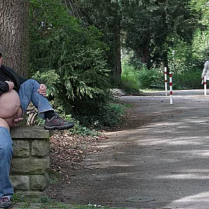 in the park gallery image