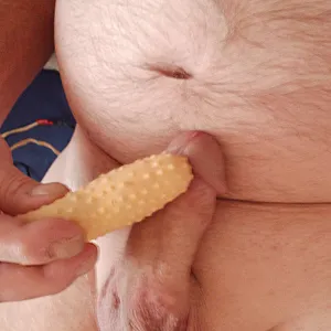 vibrator on cock gallery image