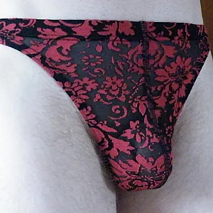underwear gallery image