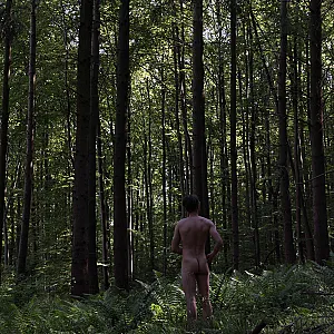 Das erste Bild von sam3000's Galerie - ein Männlein steht im Walde....