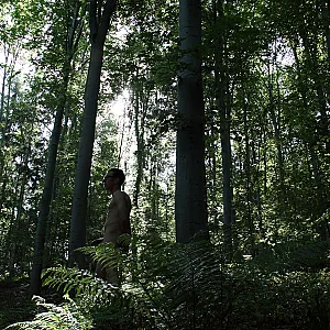 ein Männlein steht im Walde.... Galeriebild