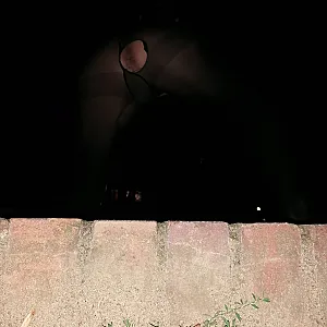 nightly fun in the park gallery image