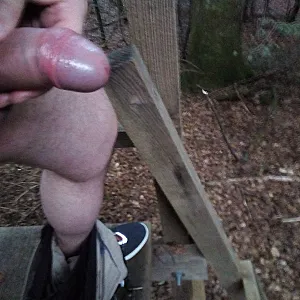Hochstand Galeriebild