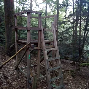 Hochstand Galeriebild