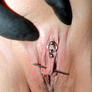 freshly pierced cunt gallery image