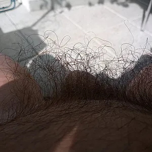 Mein Schlaffer Behaarter Schwanz Galeriebild