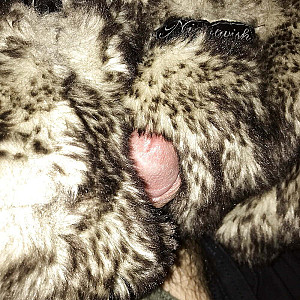 my small dick gallery image