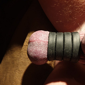 Meine Ringe Galeriebild