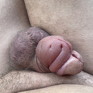 pumped dick gallery image