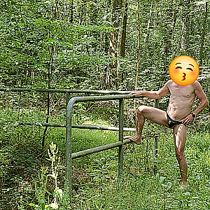 in the woods gallery image