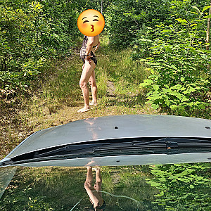 in the woods gallery image