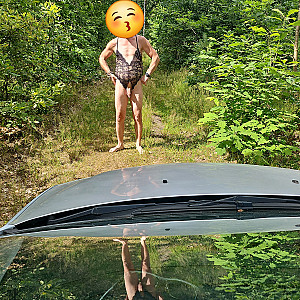in the woods gallery image
