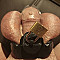 kaba061 Profile Picture