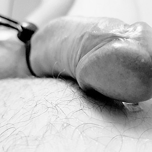 MrPegging Profilbild