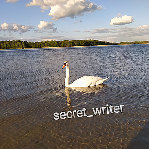 secret_writer Profilbild