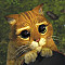 verer91 Profile Picture