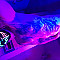 perkele 3 Profile Picture