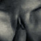 bmv8 Profile Picture