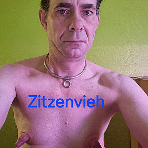 ZitzenVieh Profilbild