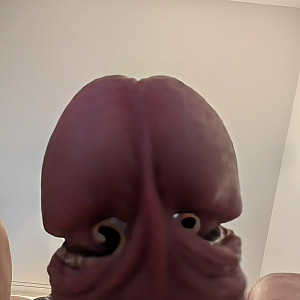 Zadiro Profile Picture