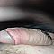 Dirk28972 Profile Picture