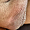 pivopija1 Profile Picture