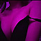 LittleDevil03 Profile Picture