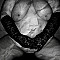 Pair-du-masques Profile Picture