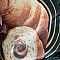 Manni_53 Profile Picture