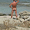 Nobbispecht Profile Picture
