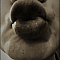Bella92 Profile Picture