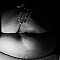yvonnetom121 Profile Picture