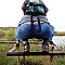 buffrun Profile Picture