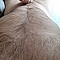 Ostseemann53bi Profilbild