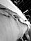 Dauer-Lust Profile Picture