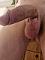 Profile-654314