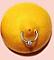 Piercedone2 Profile Picture