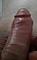 t1969 Profile Picture