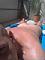 Andreas93055 Profile Picture