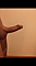 Der_Reinhard_67 Profile Picture