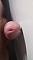 Liebhaber42 Profile Picture