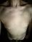 xoStevo Profile Picture
