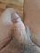 hobbymasseur01 Profile Picture