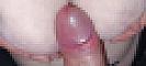 Tomater Profile Picture