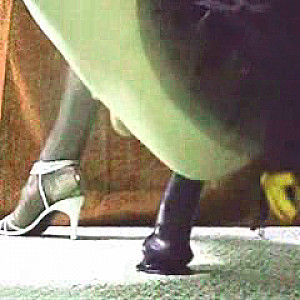First Image Of hanal's Video - sissy dildo