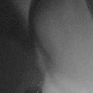 First Image Of wienpaar2's Video - Perlen....
