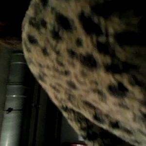First Image Of kelli's Video - a fuck on the basement